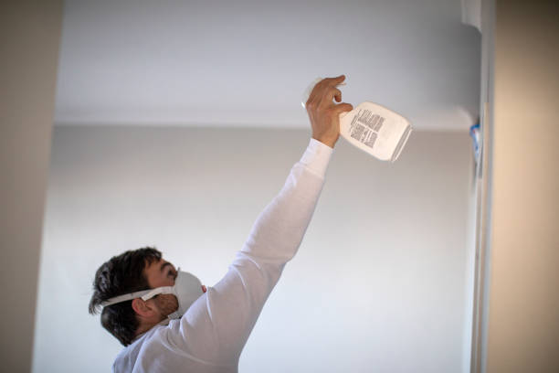 Reliable Manchester Center, VT Mold Removal Solutions