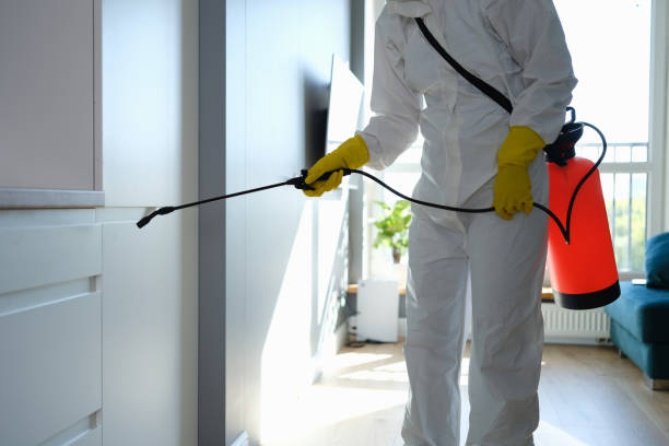Best Toxic Mold Removal  in Manchester Center, VT