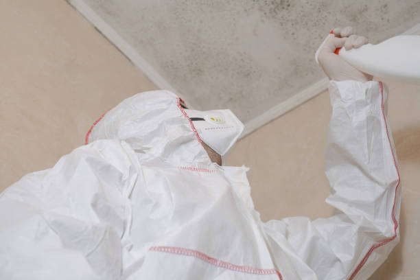 Crawl Space Mold Removal in Manchester Center, VT